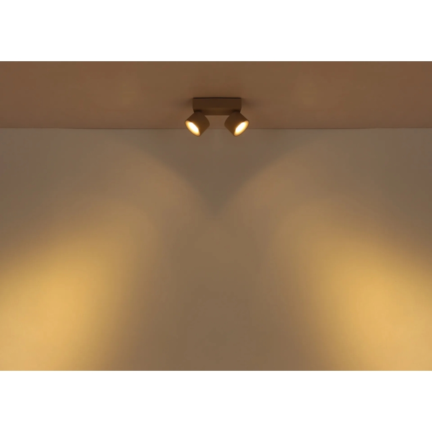 Globo - LED virziena gaismeklis 2xLED/6W/230V