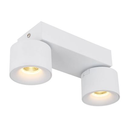 Globo - LED Starmetis 2xLED/6W/230V balta