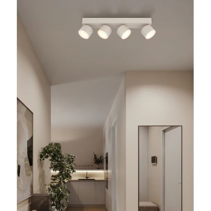 Globo - LED virziena gaismeklis 4xLED/6W/230V