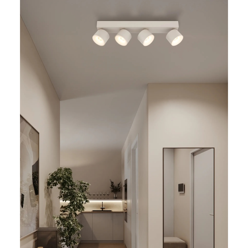 Globo - LED virziena gaismeklis 4xLED/6W/230V