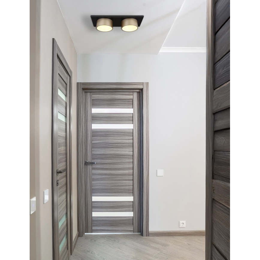 Globo - LED griestu lampa LED/24W/230V 3000K 46x20 cm bēša