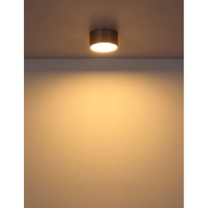Globo - LED griestu lampa LED/12W/230V Ø 15 cm 3000K bēša