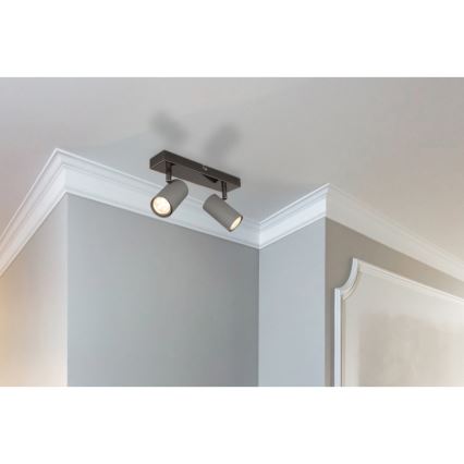 Globo - Starmetis 2xGU10/25W/230V