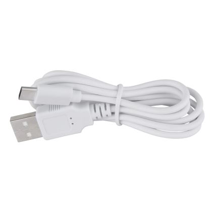 Globo - LED Aptumšojama skārienvadāma galda lampa LED/1W/3,7V 3000K 1800 mAh USB rozā