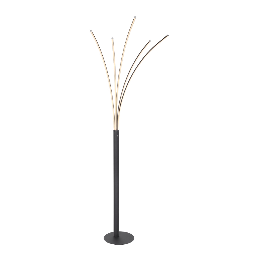 Globo - LED Aptumšojama skārienvadāma grīdas stāvlampa LED/36W/230V spīdīgi hromēts