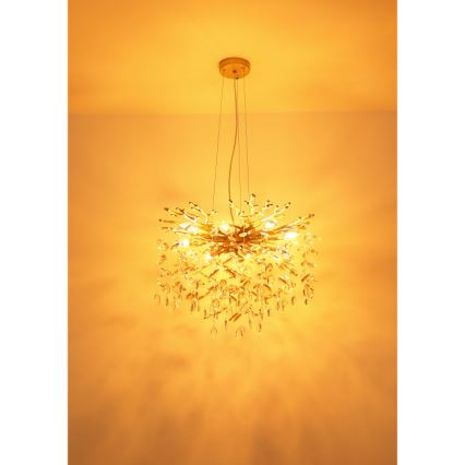 Globo - Lustra uz kabeļa 8xE14/40W/230V zeltaina