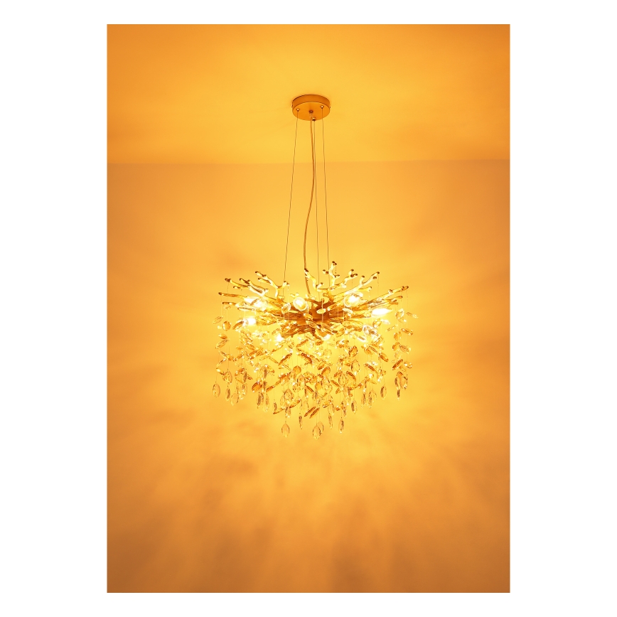 Globo - Lustra uz kabeļa 8xE14/40W/230V zeltaina