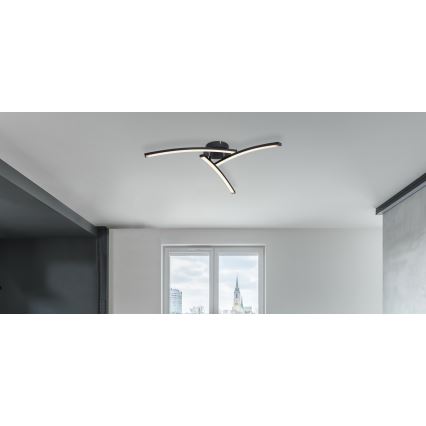 Globo - LED Virsapmetuma lustra 3xLED/6W/230V 3000/4000/6000K