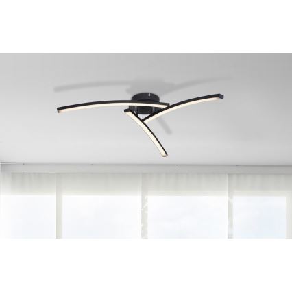 Globo - LED Virsapmetuma lustra 3xLED/6W/230V 3000/4000/6000K