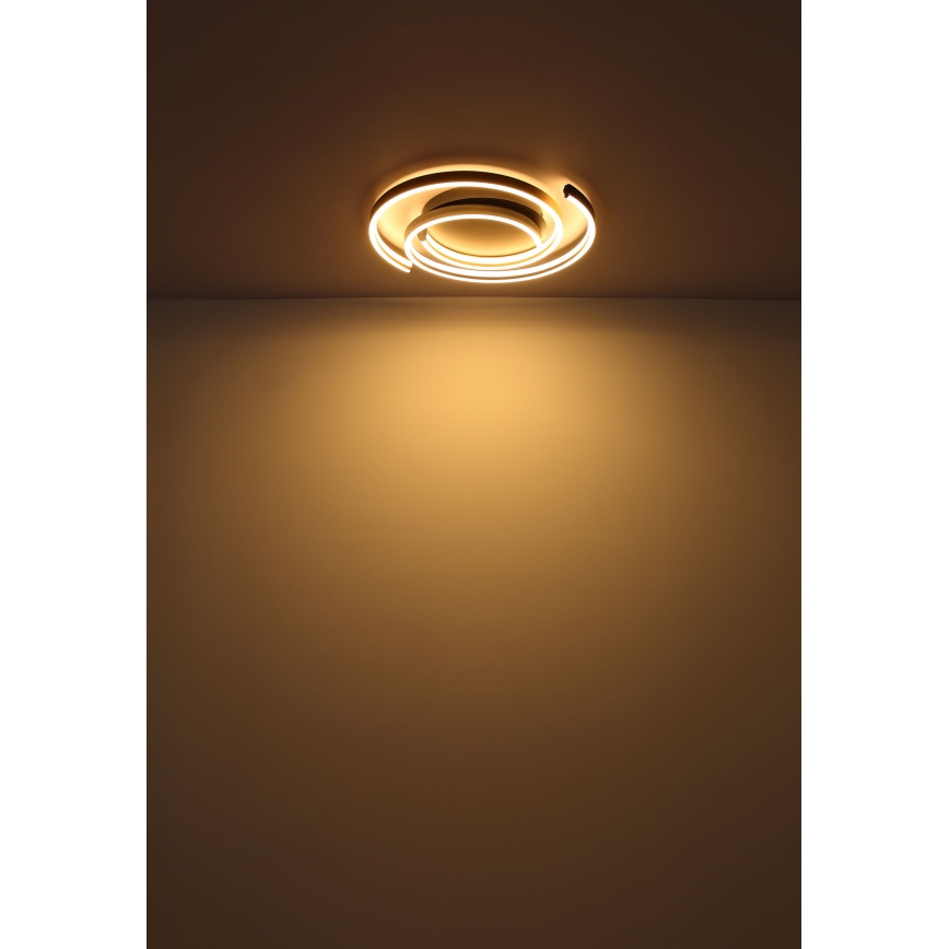 Globo - LED Griestu lampa LED/38W/230V