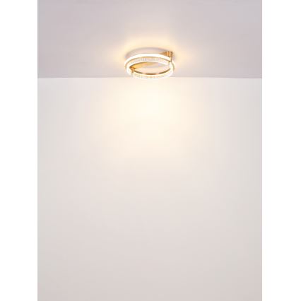 Globo - LED Aptumšojama kristāla griestu lampa LED/36W/230V 2700K-6000K + tālvadības pults