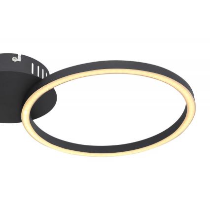 Globo - LED Pie virsmas stiprināma lustra LED/24W/230V