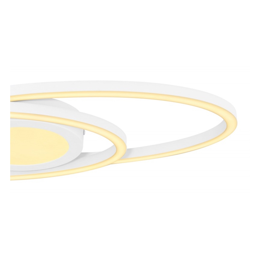 Globo - LED Griestu gaismeklis LED/24W/230V