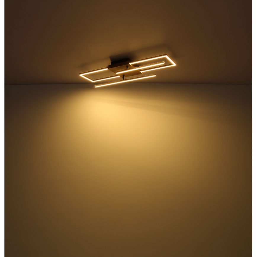 Globo - LED Griestu lampa LED/18W/230V