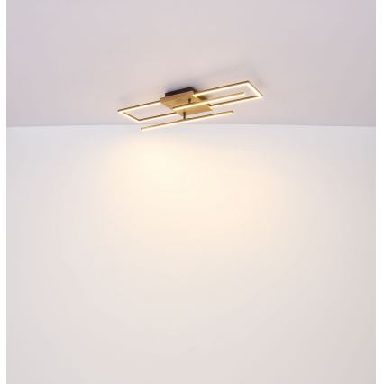 Globo - LED Griestu lampa LED/18W/230V