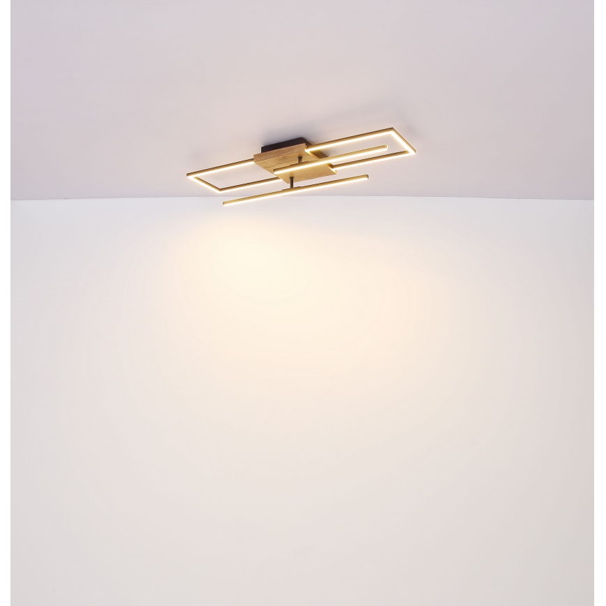 Globo - LED Griestu lampa LED/18W/230V