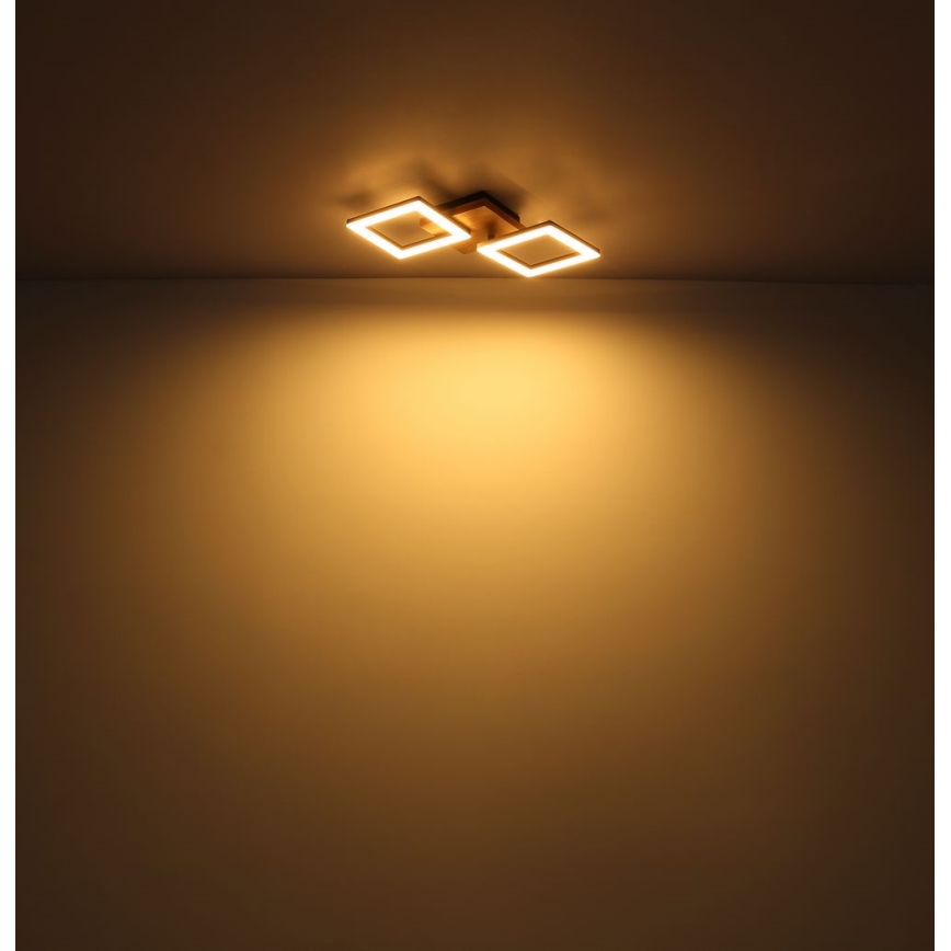 Globo - LED Virsapmetuma lustra LED/30W/230V