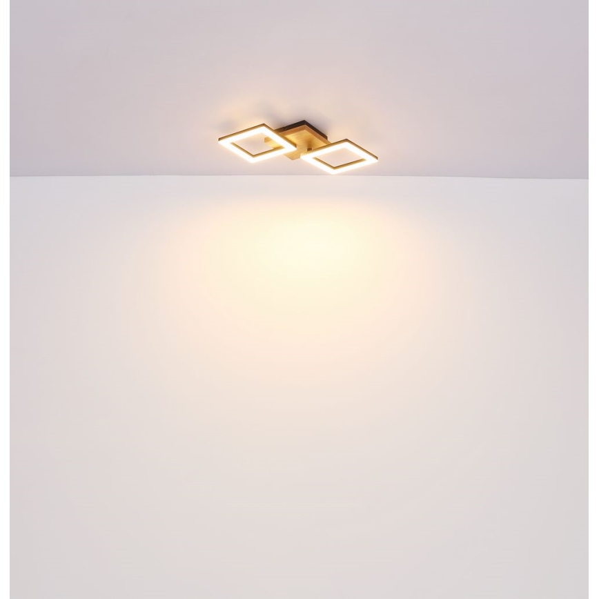 Globo - LED Virsapmetuma lustra LED/30W/230V