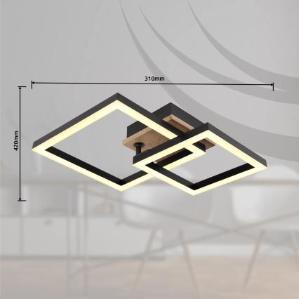 Globo - LED Griestu lampa LED/15W/230V 3000K