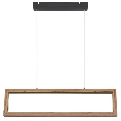 Globo 67287H - pakaramā LED lustra uz kabeļa MANDERA LED/24W/230V brūna