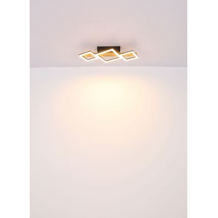 Globo - LED Griestu lampa LED/29W/230V