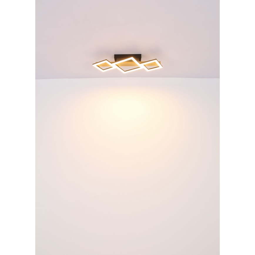 Globo - LED Griestu lampa LED/29W/230V