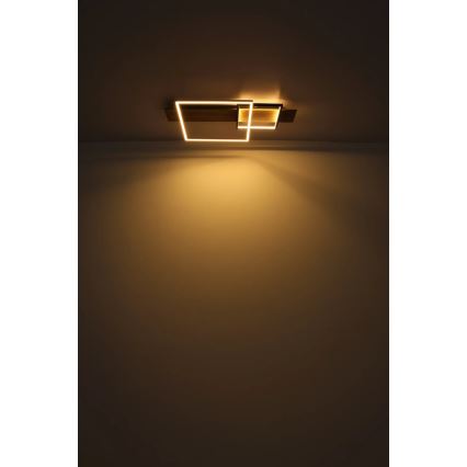 Globo 67289D1 - LED griestu gaismeklis VANNI LED/24W/230V 40x75 cm brūns/melns