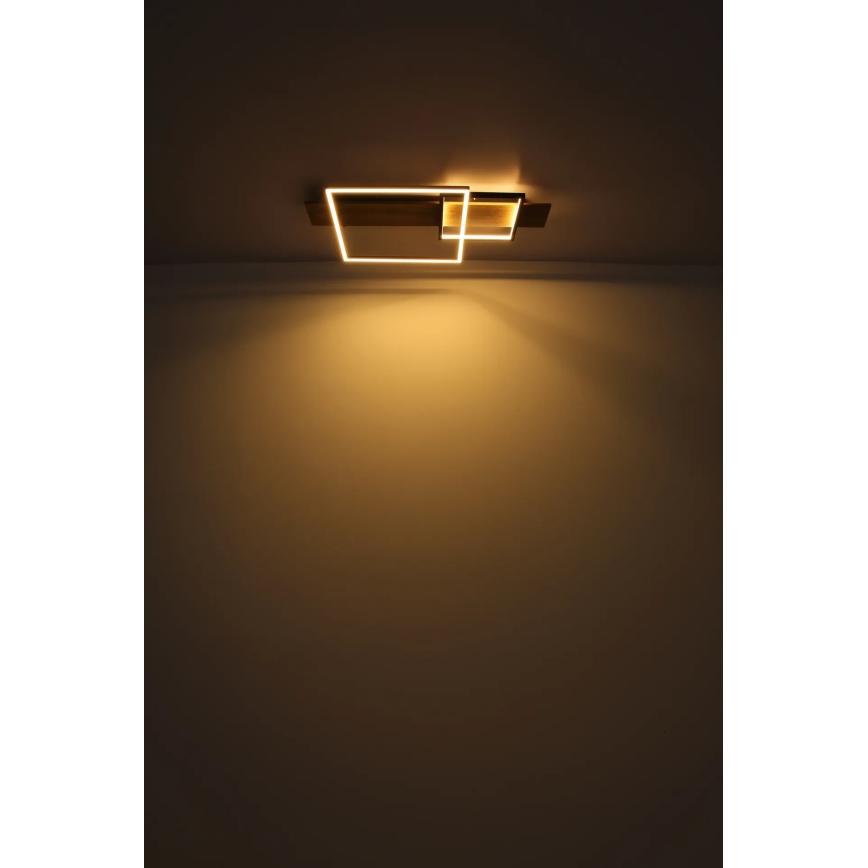 Globo 67289D1 - LED griestu gaismeklis VANNI LED/24W/230V 40x75 cm brūns/melns