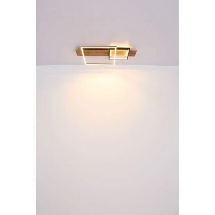 Globo 67289D1 - LED griestu gaismeklis VANNI LED/24W/230V 40x75 cm brūns/melns