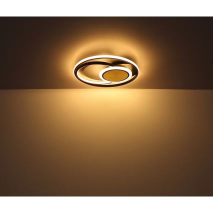 Globo - LED Griestu lampa LED/24W/230V
