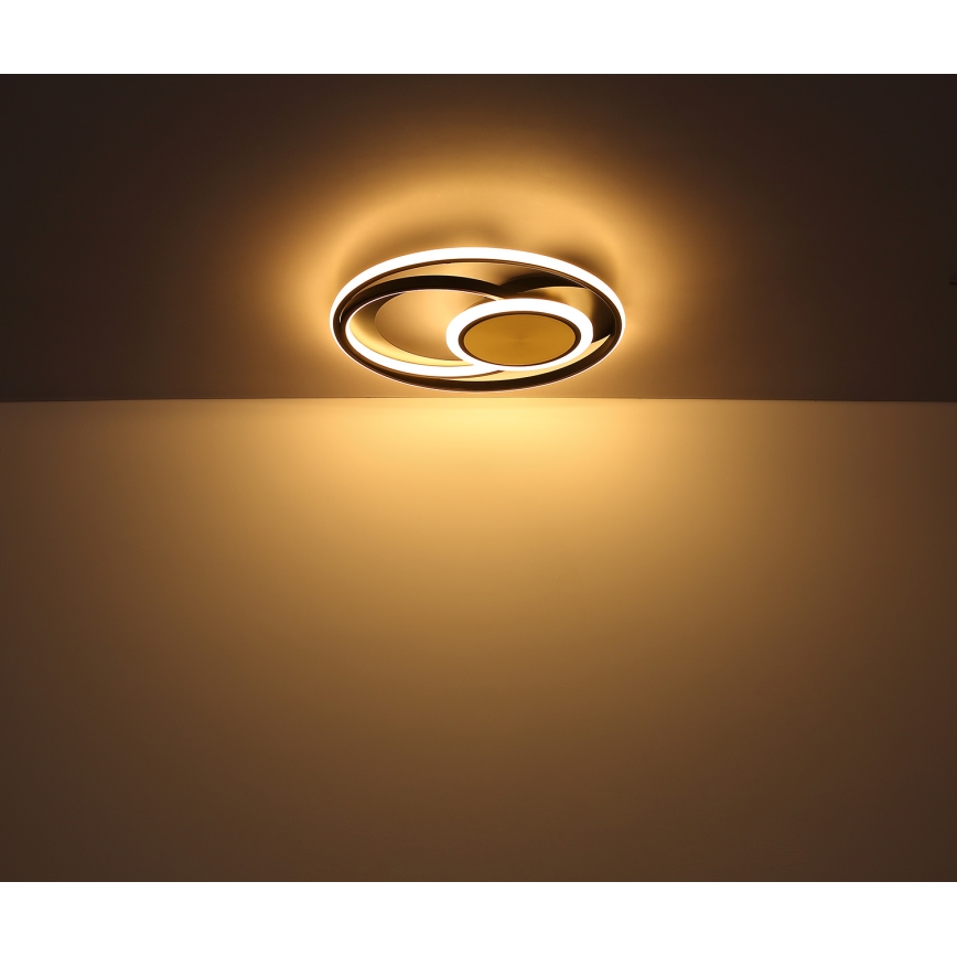 Globo - LED Griestu lampa LED/24W/230V