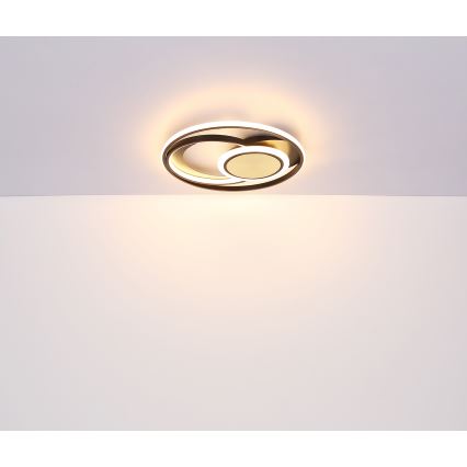 Globo - LED Griestu lampa LED/24W/230V