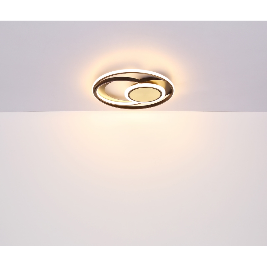 Globo - LED Griestu lampa LED/24W/230V