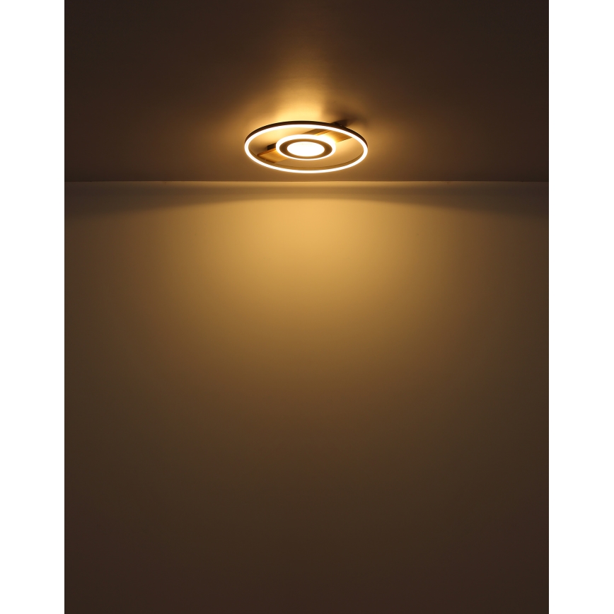 Globo - LED Griestu lampa LED/24W/230V