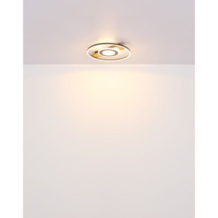 Globo - LED Griestu lampa LED/24W/230V