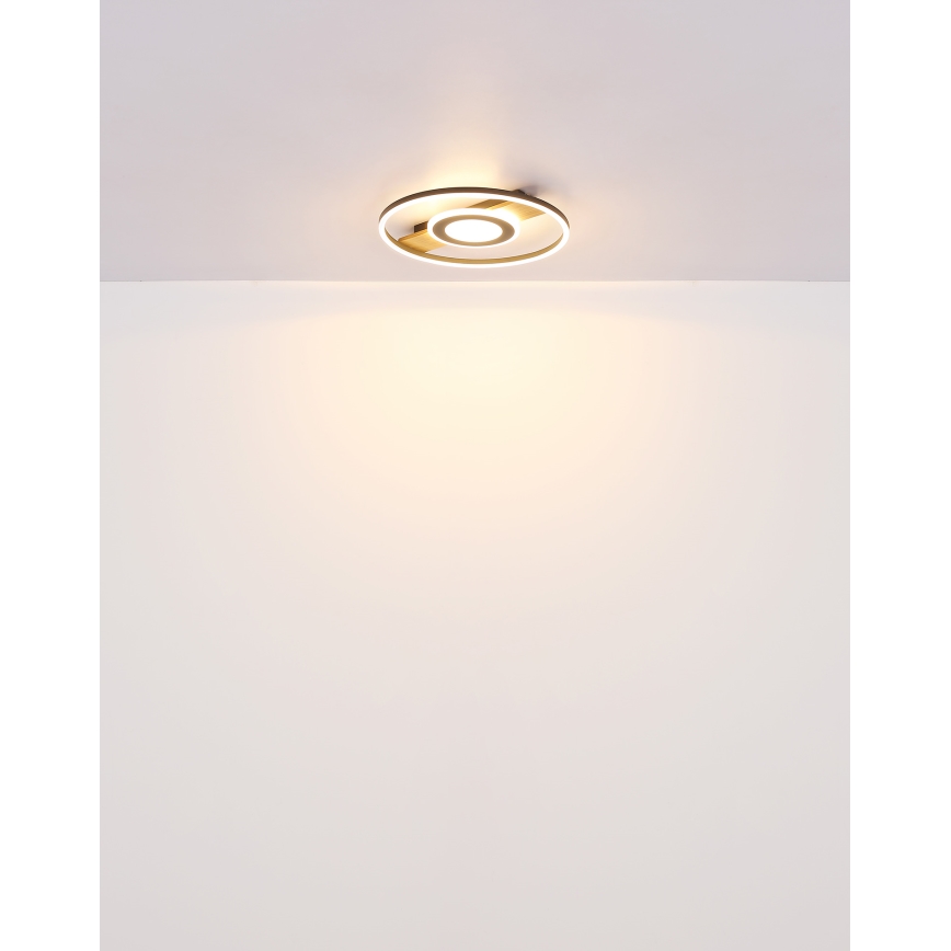 Globo - LED Griestu lampa LED/24W/230V