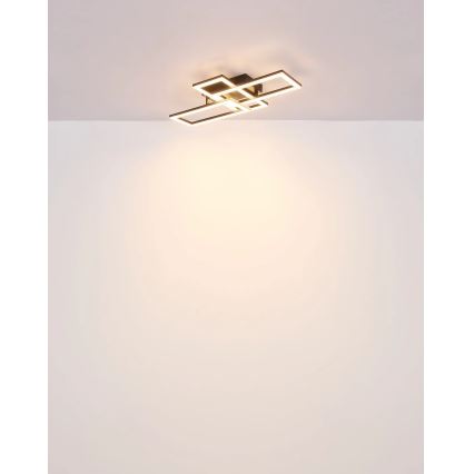 Globo - LED Griestu lampa LED/24W/230V