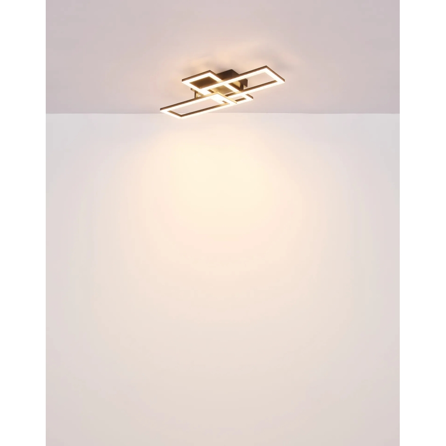 Globo - LED Griestu lampa LED/24W/230V