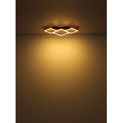 Globo - LED Griestu lampa LED/24W/230V