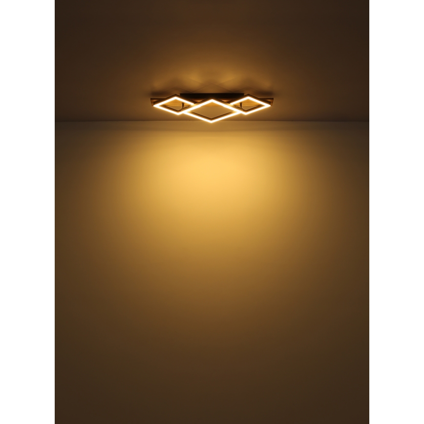 Globo - LED Griestu lampa LED/24W/230V