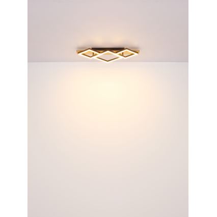 Globo - LED Griestu lampa LED/24W/230V