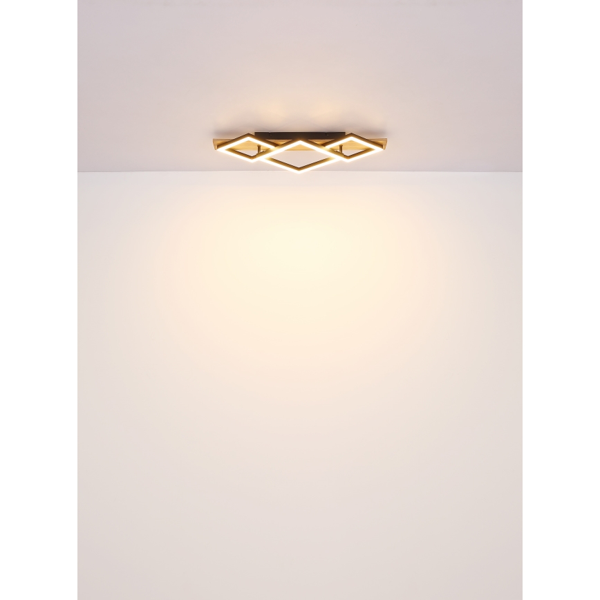 Globo - LED Griestu lampa LED/24W/230V