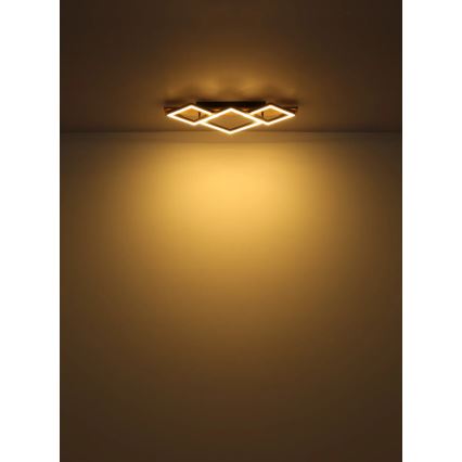 Globo - LED Griestu lampa LED/24W/230V