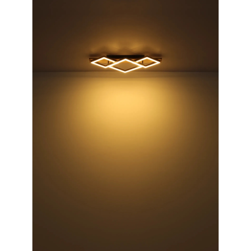 Globo - LED Griestu lampa LED/24W/230V