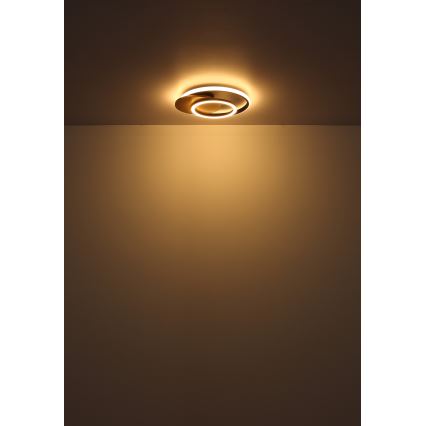 Globo - LED Griestu lampa LED/24W/230V melna