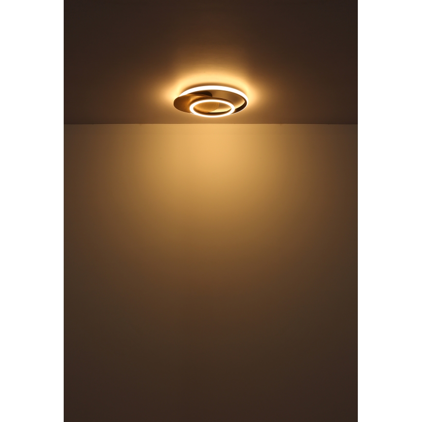 Globo - LED Griestu lampa LED/24W/230V melna