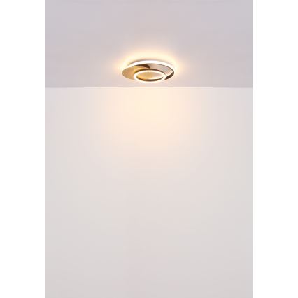 Globo - LED Griestu lampa LED/24W/230V melna