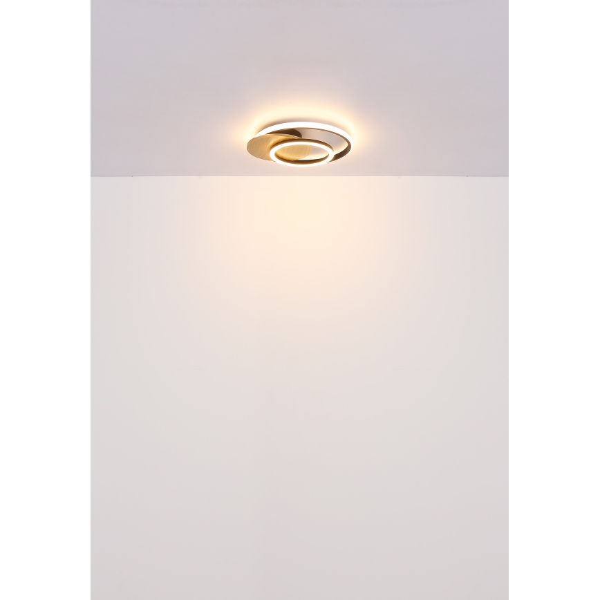 Globo - LED Griestu lampa LED/24W/230V melna
