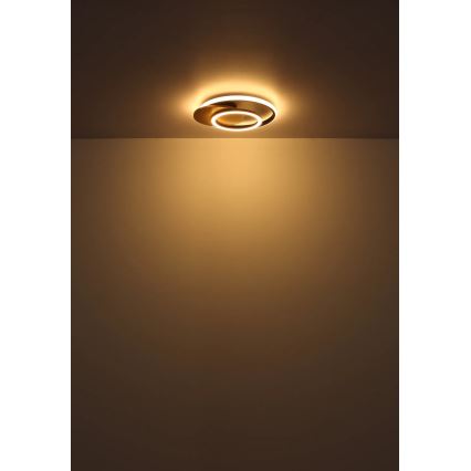 Globo - LED Griestu lampa LED/24W/230V