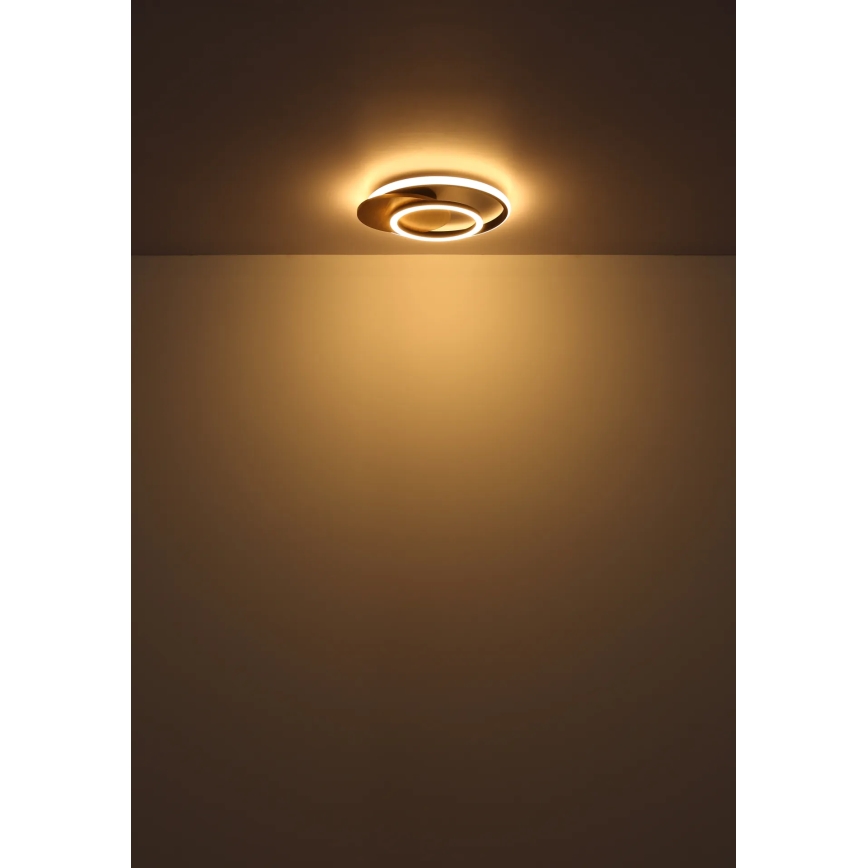 Globo - LED Griestu lampa LED/24W/230V